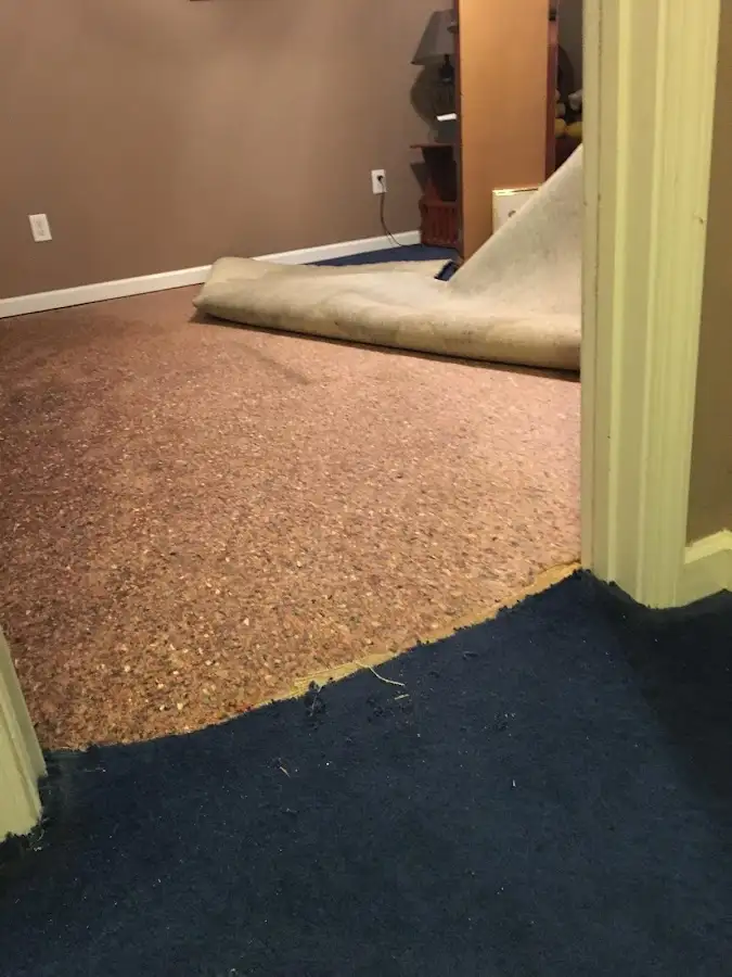 Carpet pad removal revealing water damage during Drying & Dehumidification in Allegany