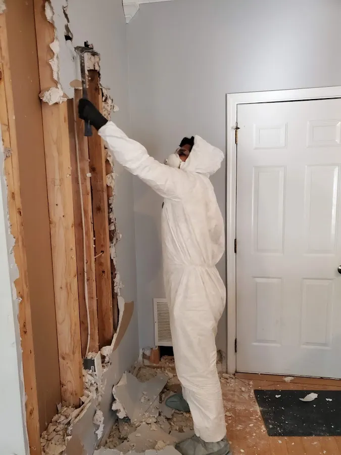 Commercial Water Damage Restoration in Allegany, NY